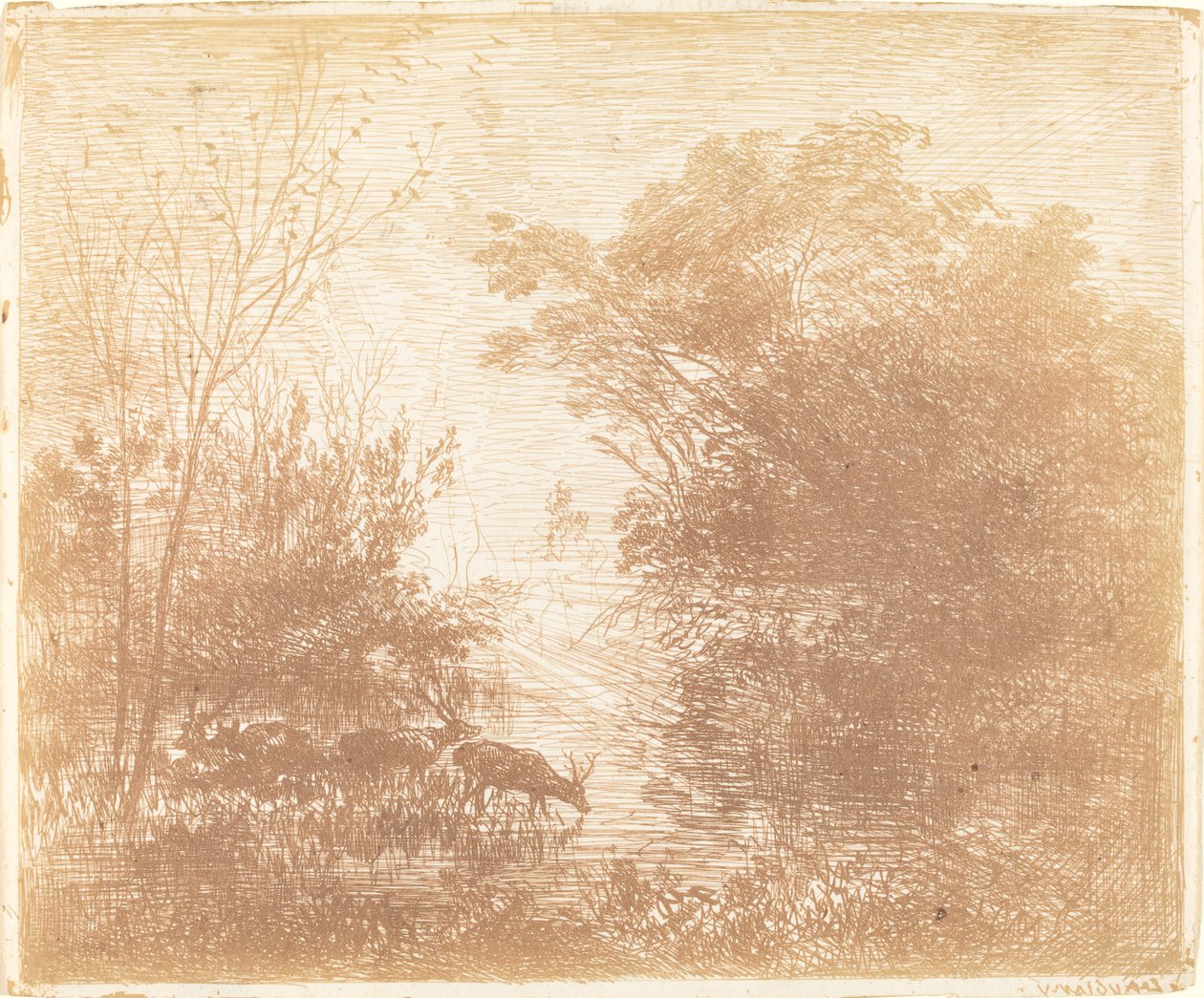 Herten (Les Cerfs) door Charles Francois Daubigny
