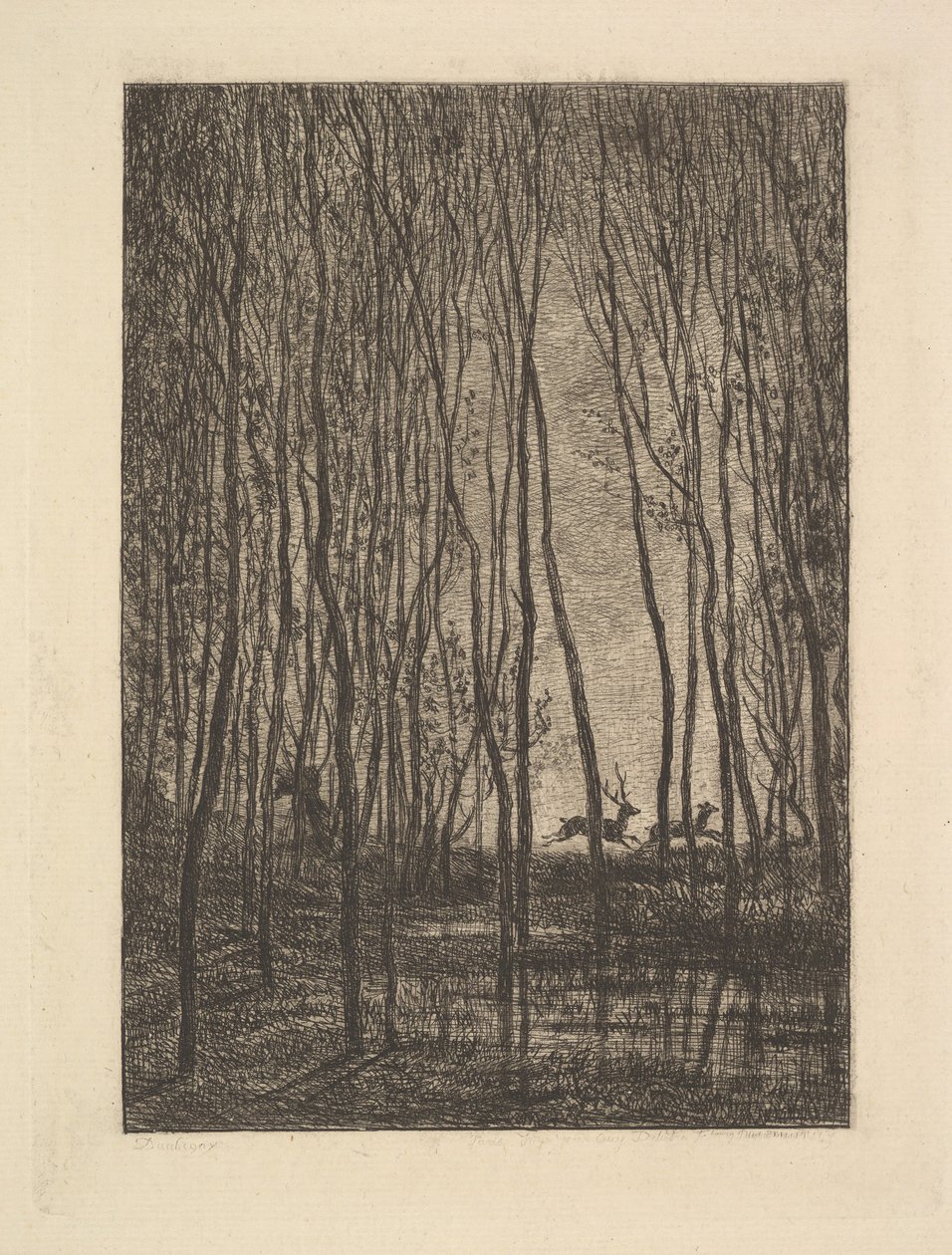 Herten in het Bos, 1850 door Charles Francois Daubigny
