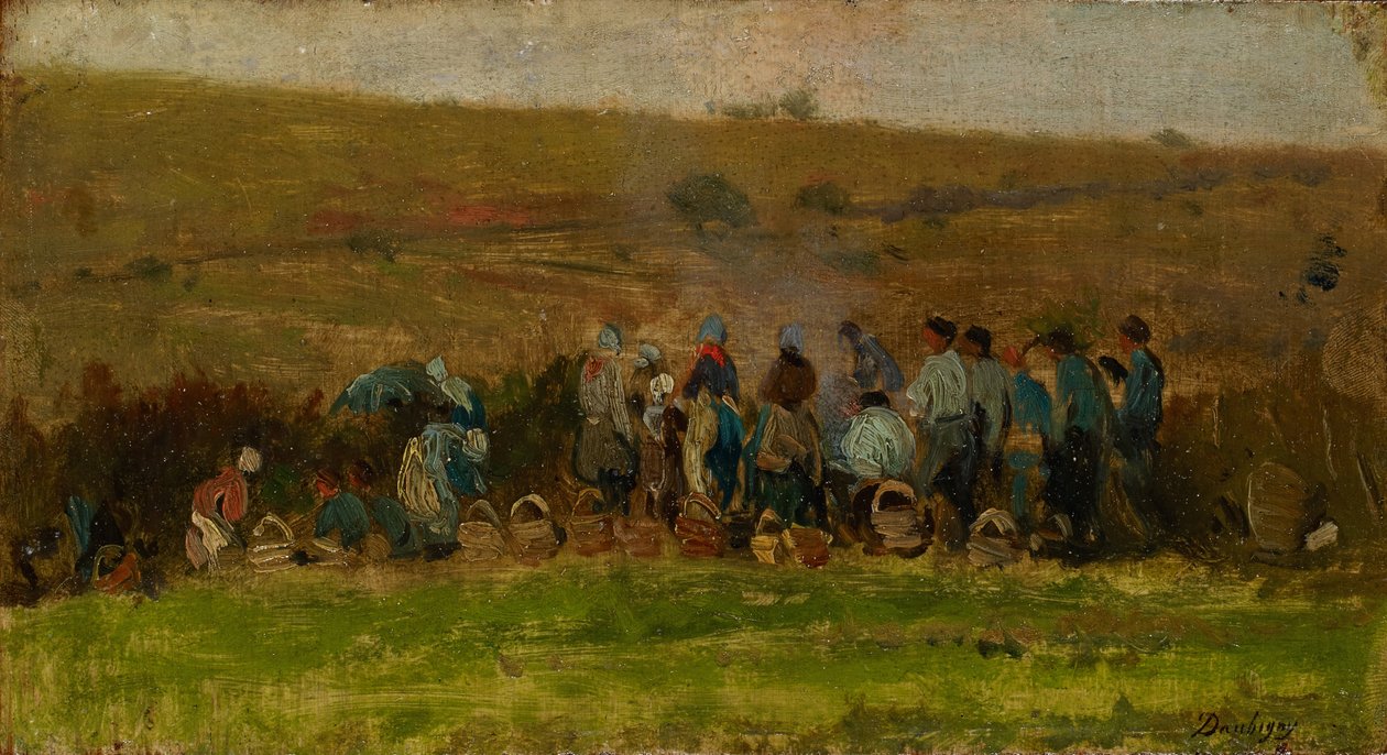 Boeren oogsten aardappelen door Charles Francois Daubigny