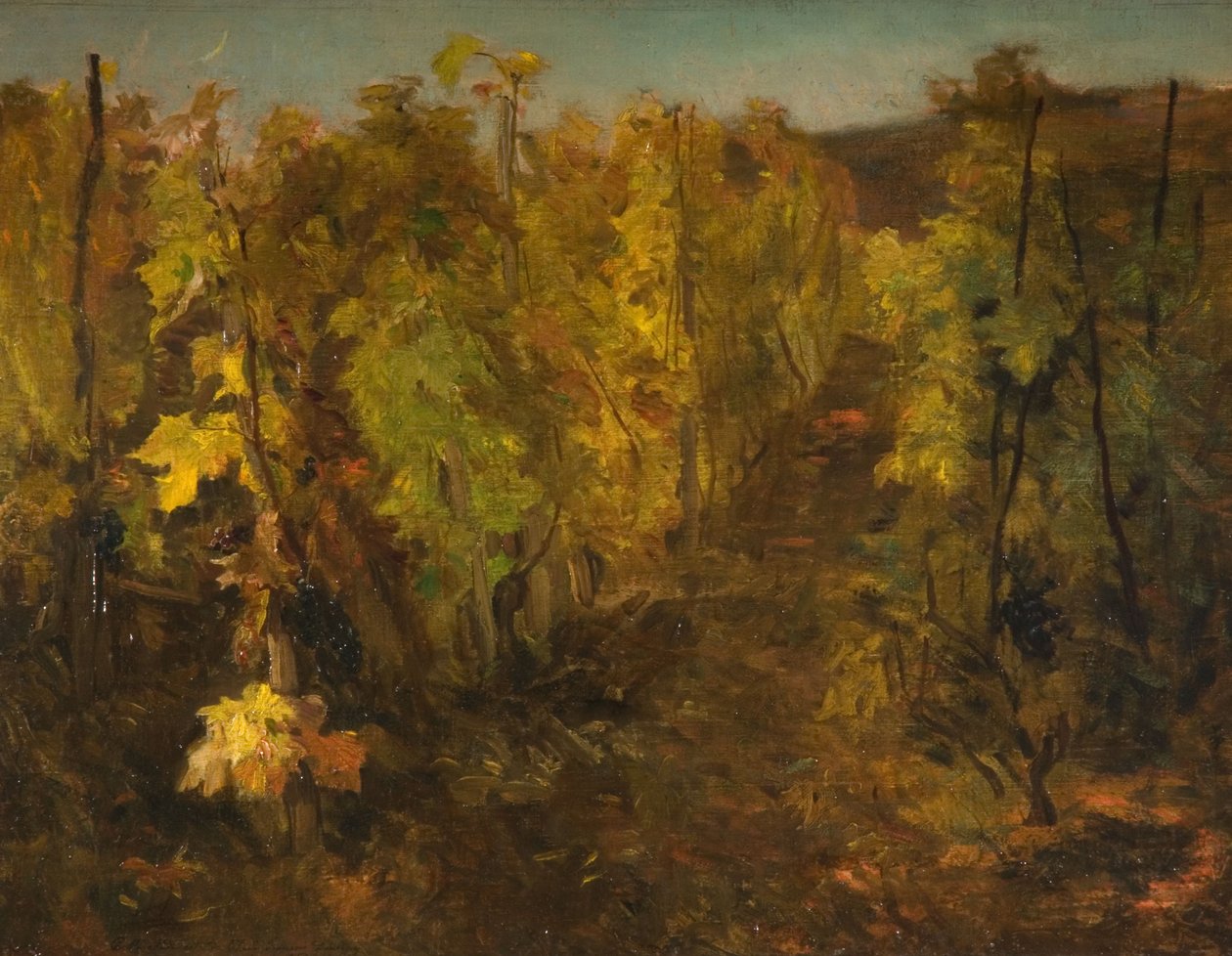 La Vigne door Charles Francois Daubigny