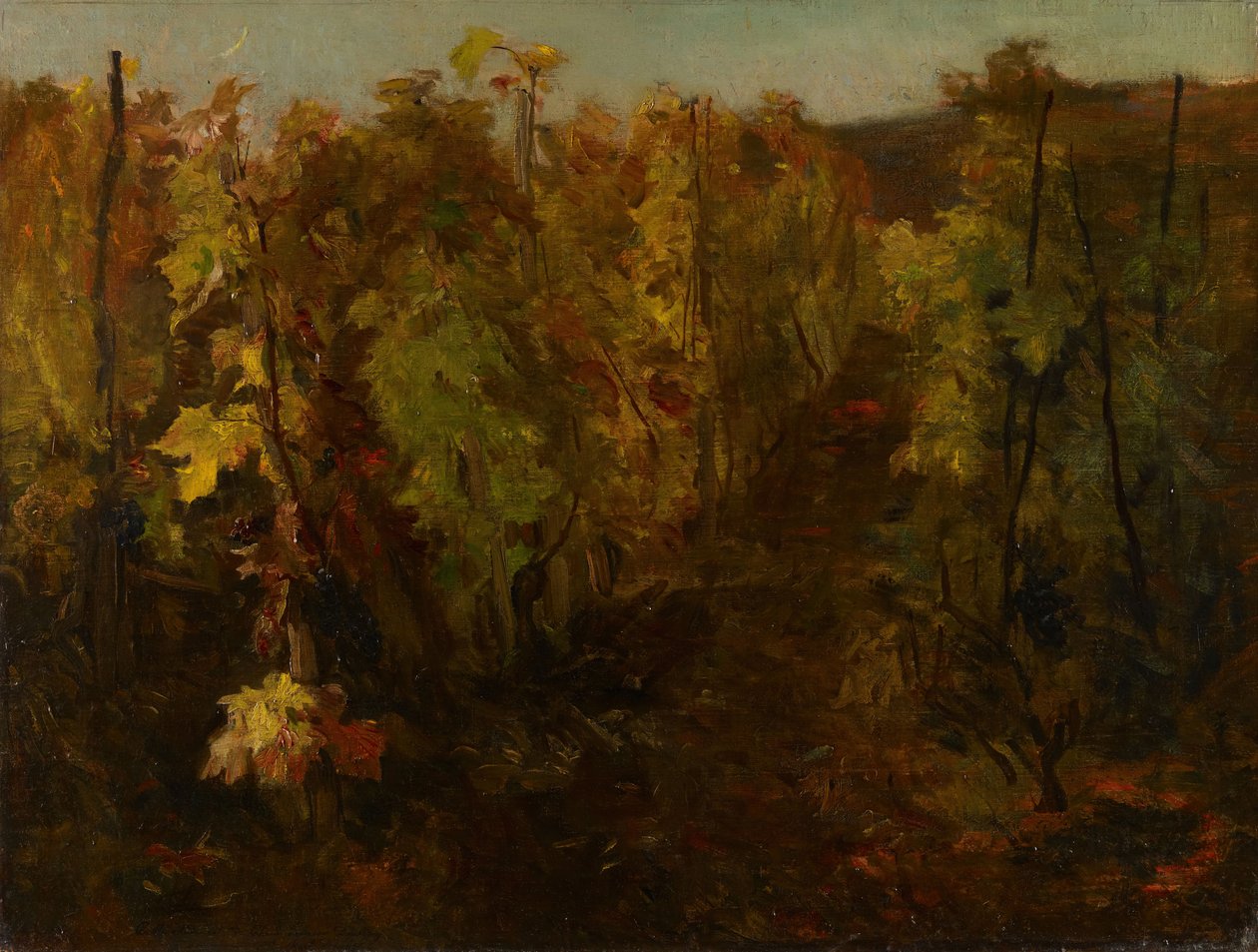 La Vigne [De Wijnstok], 1860-1863 door Charles Francois Daubigny