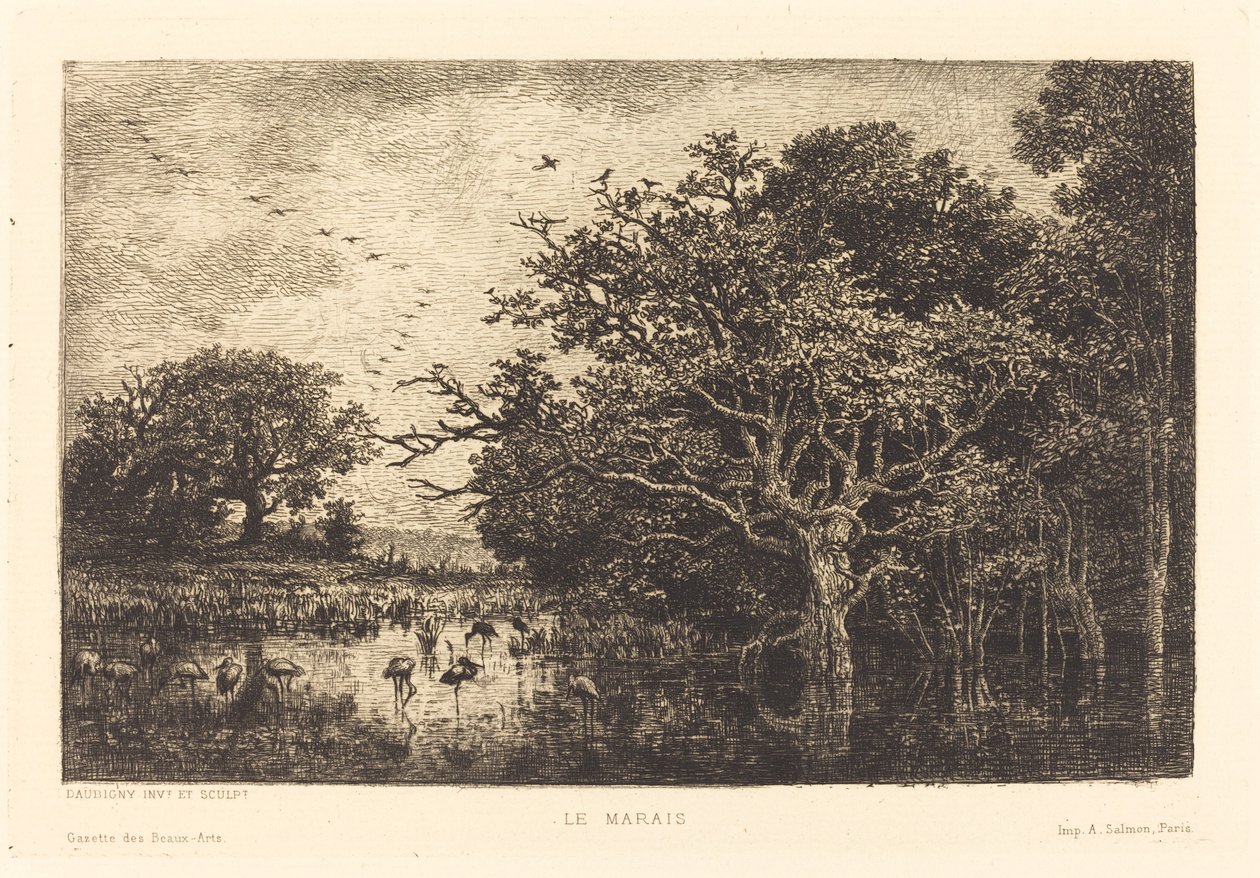 Moeras (Le Marais) door Charles Francois Daubigny