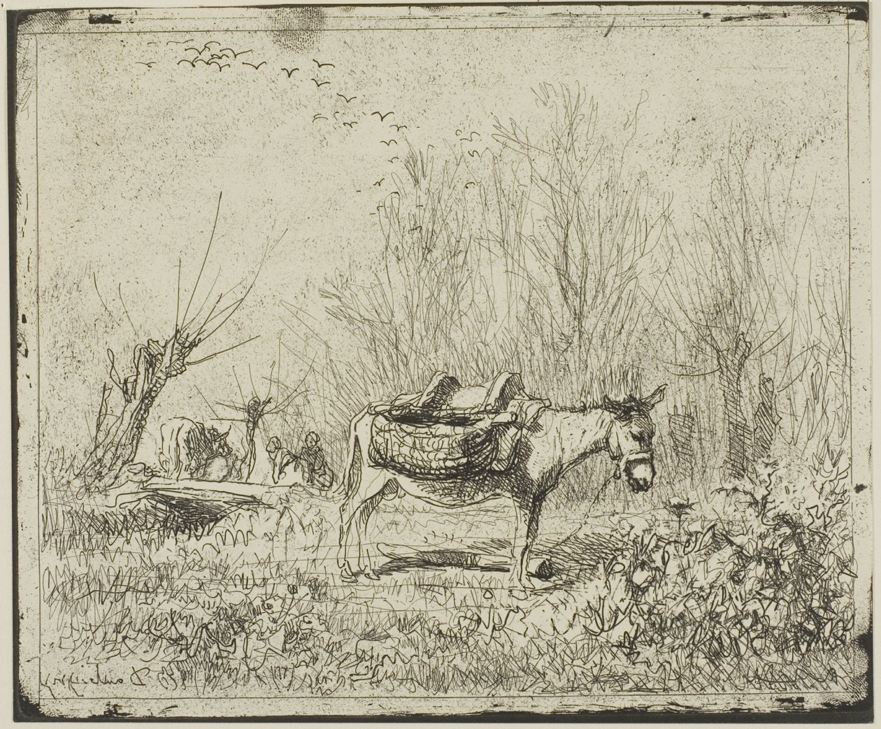 De ezel in de weide door Charles Francois Daubigny