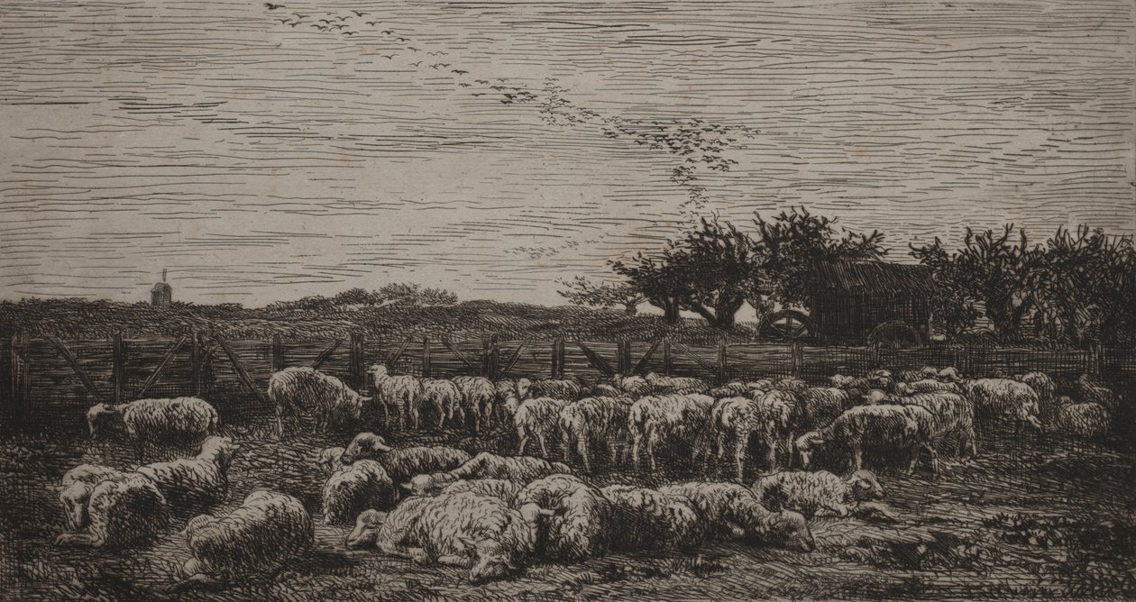 De grote schaapskooi door Charles Francois Daubigny