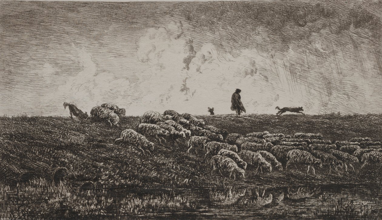 De Regenbui door Charles Francois Daubigny