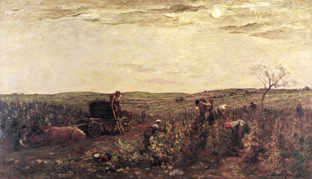 De wijnoogst in Bourgondië, 1863 door Charles Francois Daubigny