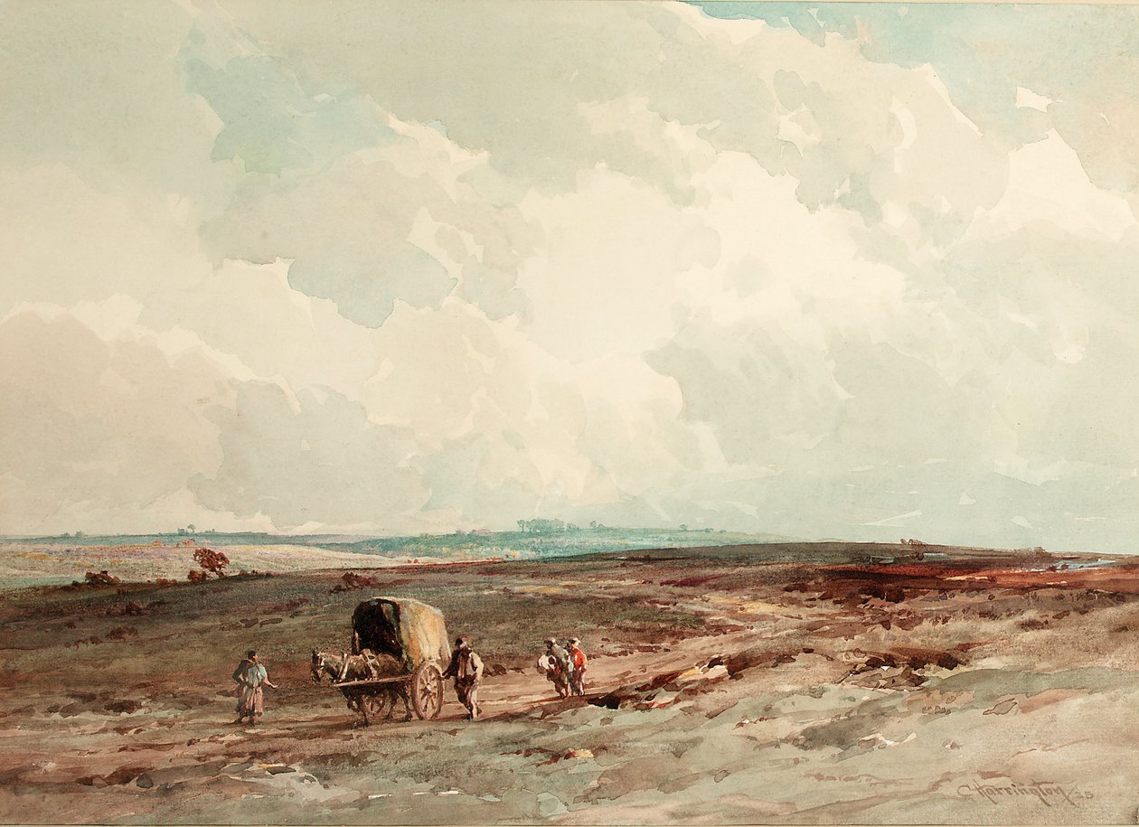 Op het Ashdown Forest Reserve, 1925 door Charles Harrington