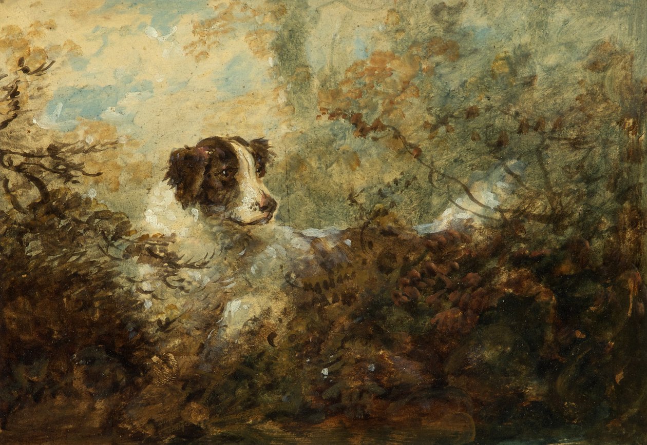 Hond door Charles Henry Schwanfelder