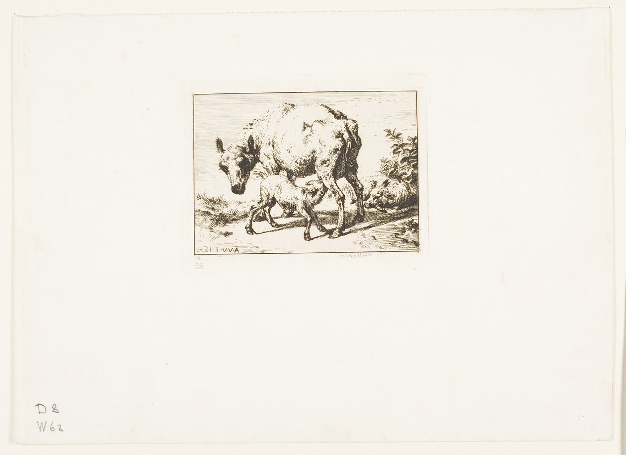 De ooi met twee lammeren door Charles Meryon