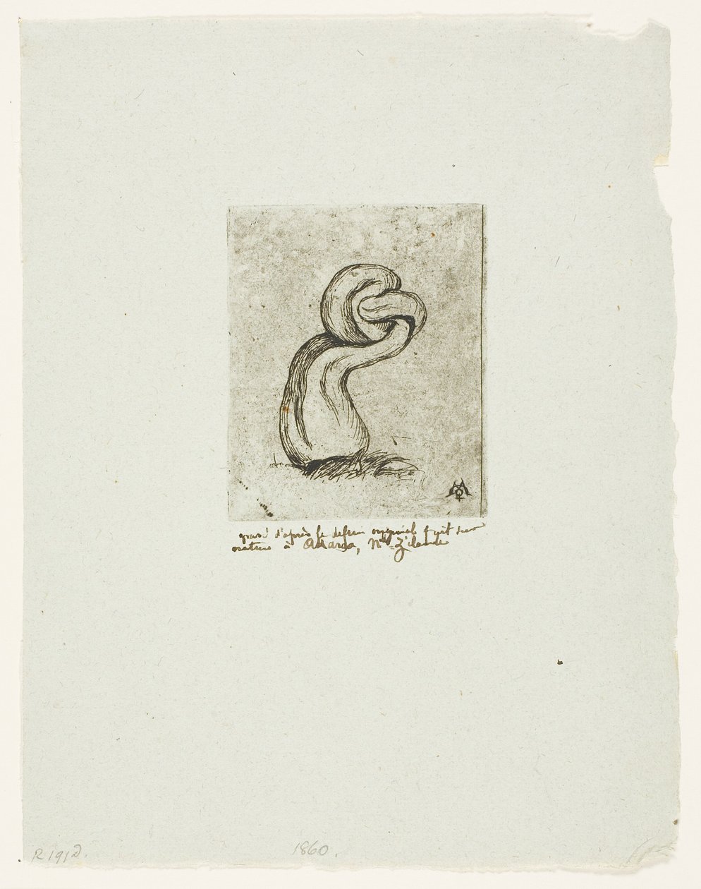 De zieke cryptogam door Charles Meryon