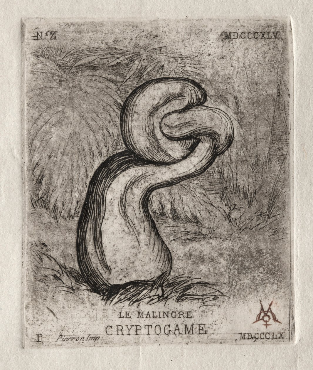 De zieke cryptogam, 1860 door Charles Meryon