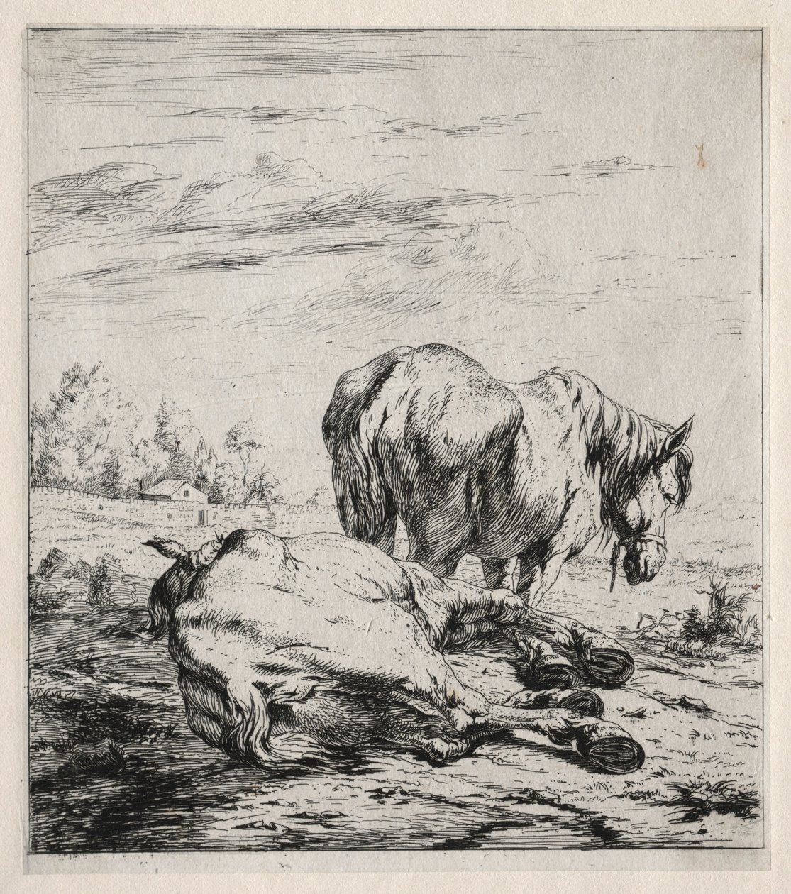 De twee paarden door Charles Meryon