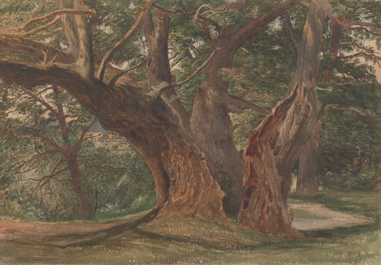 Bomen in een landschap door Charles Reginald Aston