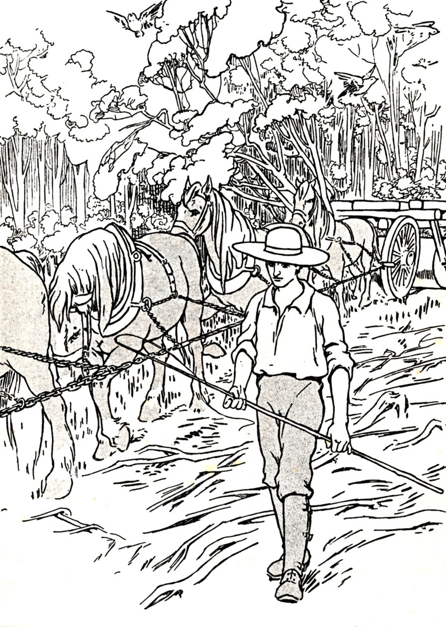 Een kolonist die zijn land opruimt, 1912 door Charles Robinson