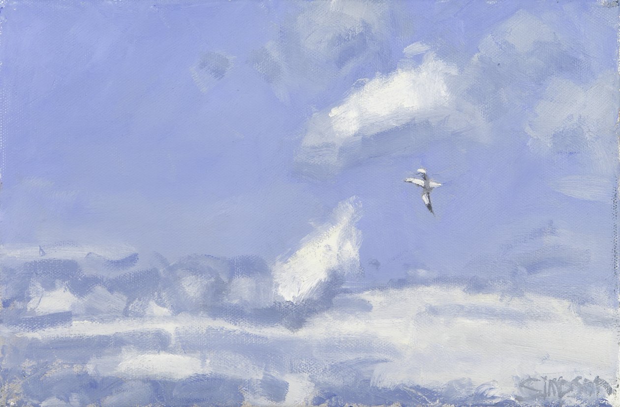 Jan-van-gent  wolken, 2016 (olieverf op doek) door Charles Simpson