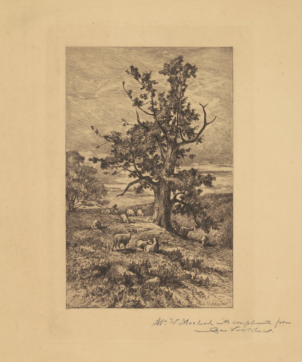 Landschap met Schapen door Charles Volkmar