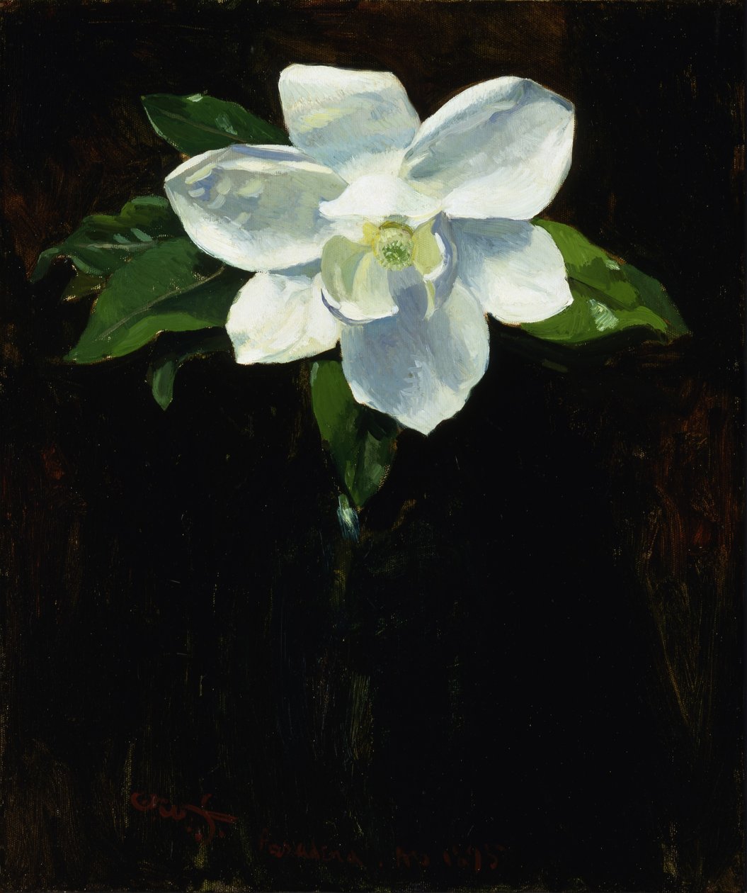 Magnolia door Charles Walter Stetson