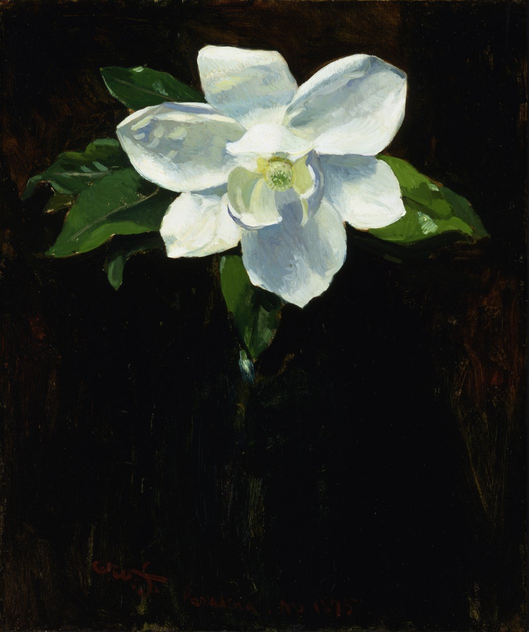 Magnolia, 1895 door Charles Walter Stetson