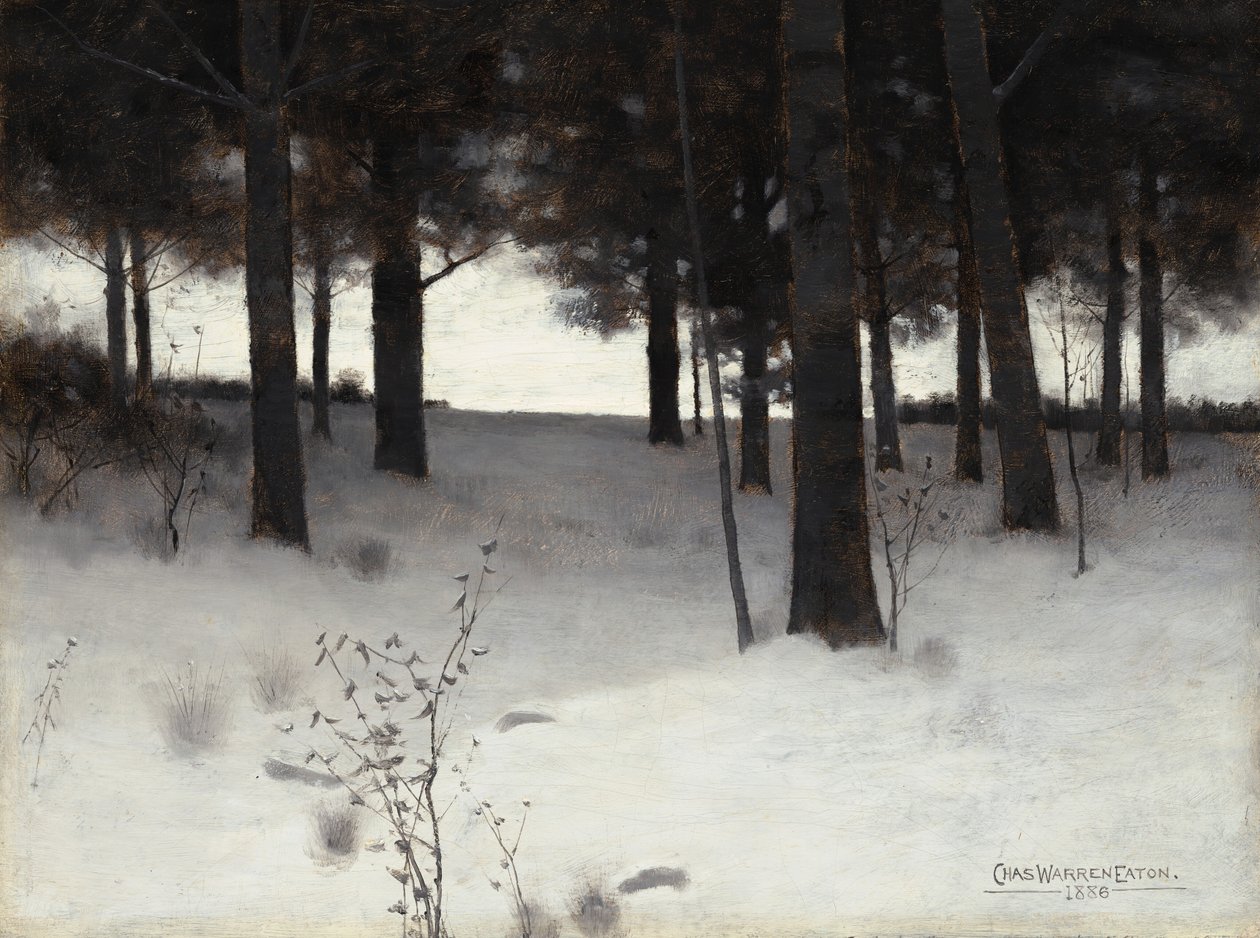 Bossen in de winter, 1886 door Charles Warren Eaton