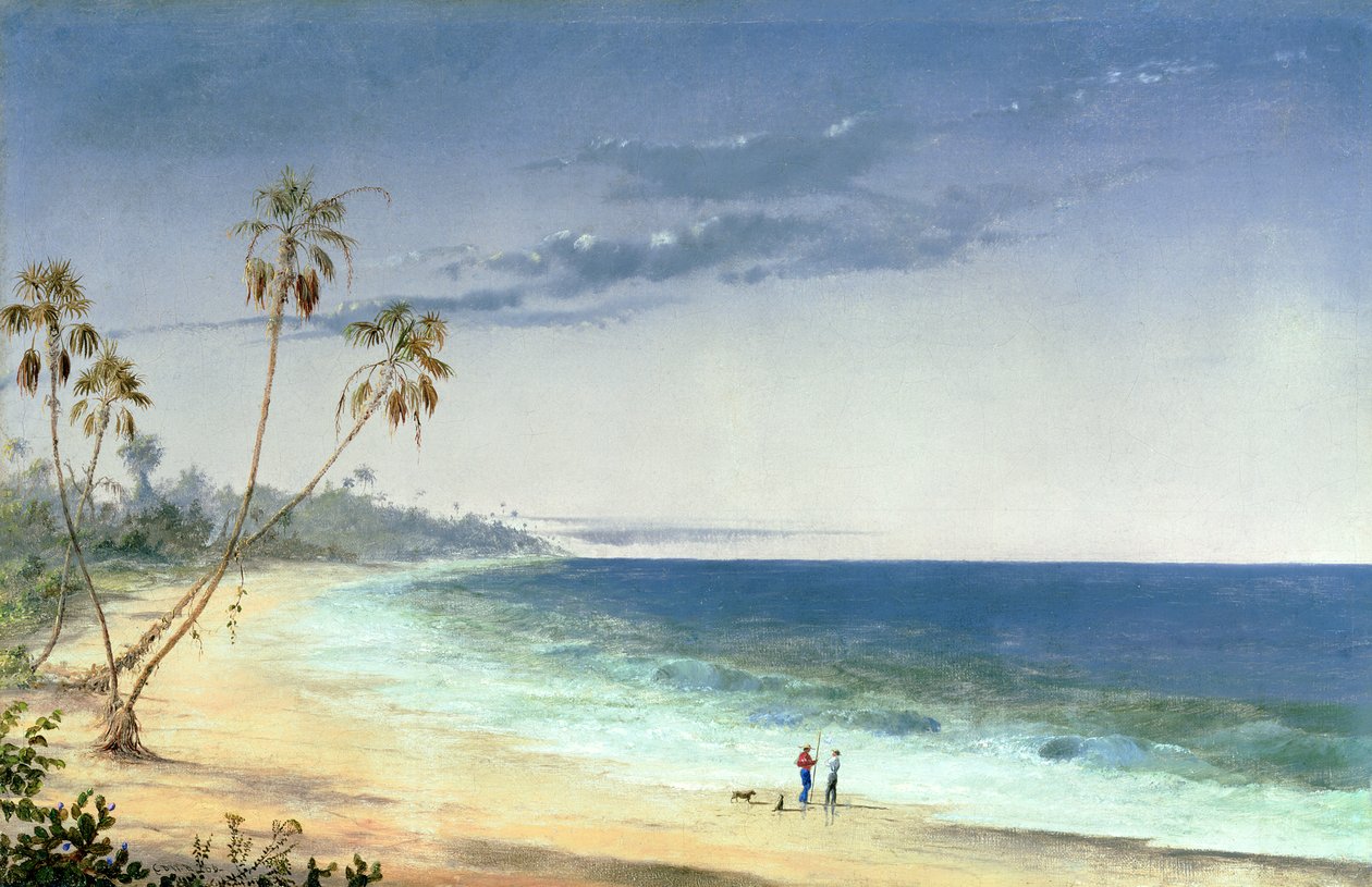Cubaans Landschap door Charles de Wolfe Brownell