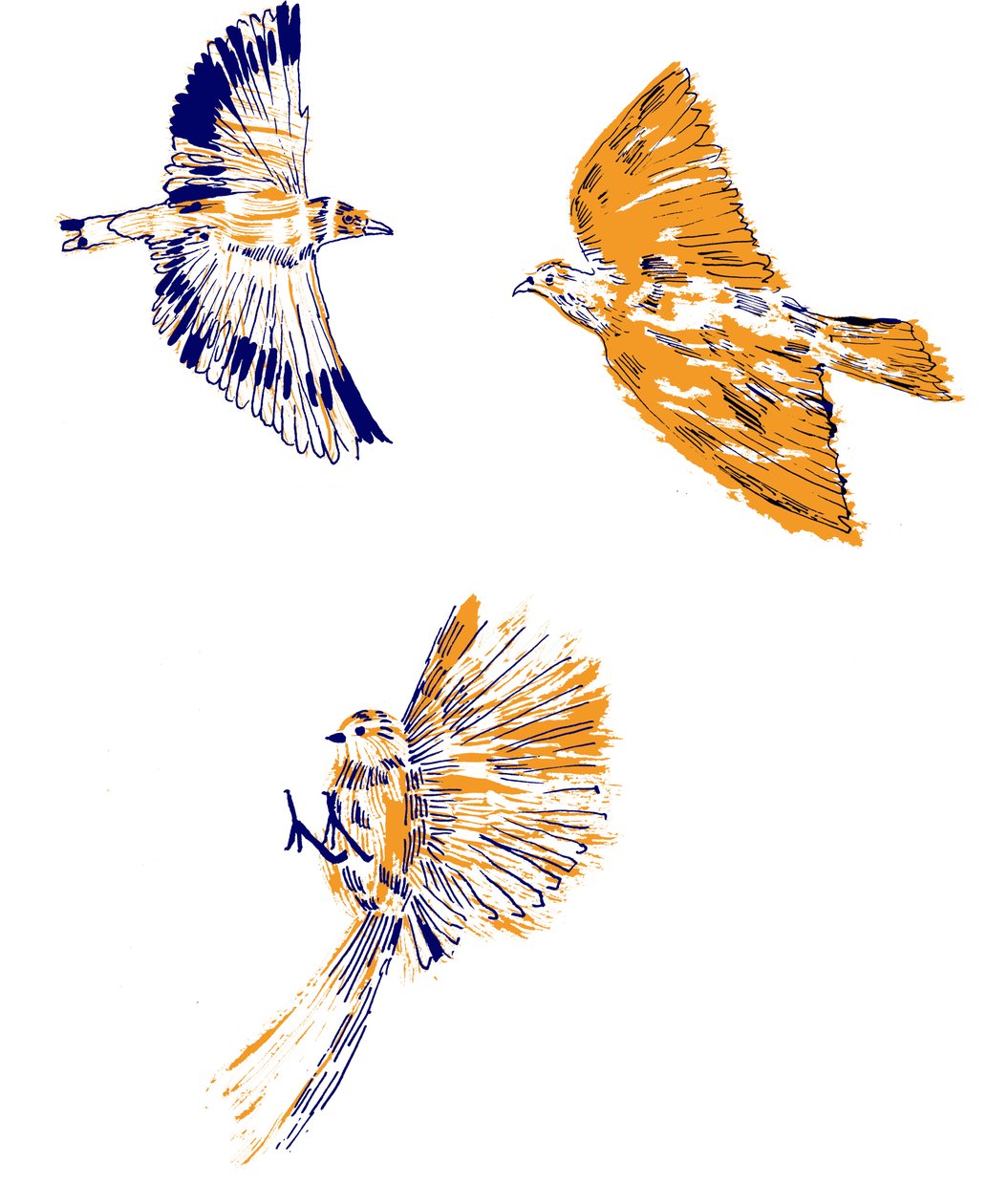 Vogels door Charlotte Orr