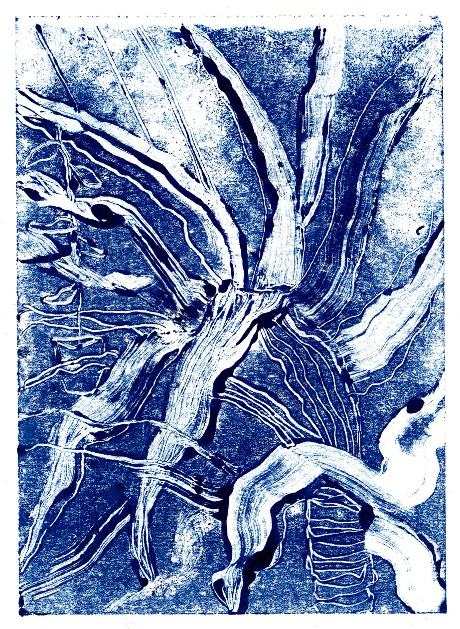 Inktplanten nr.2 door Charlotte Orr