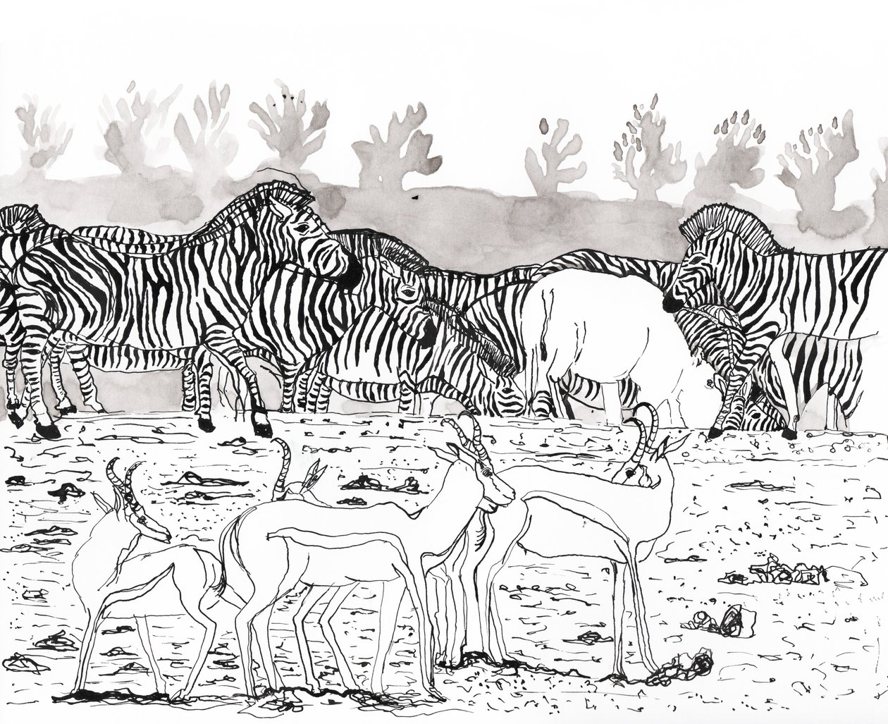 Safari 3, 2018 door Charlotte Orr