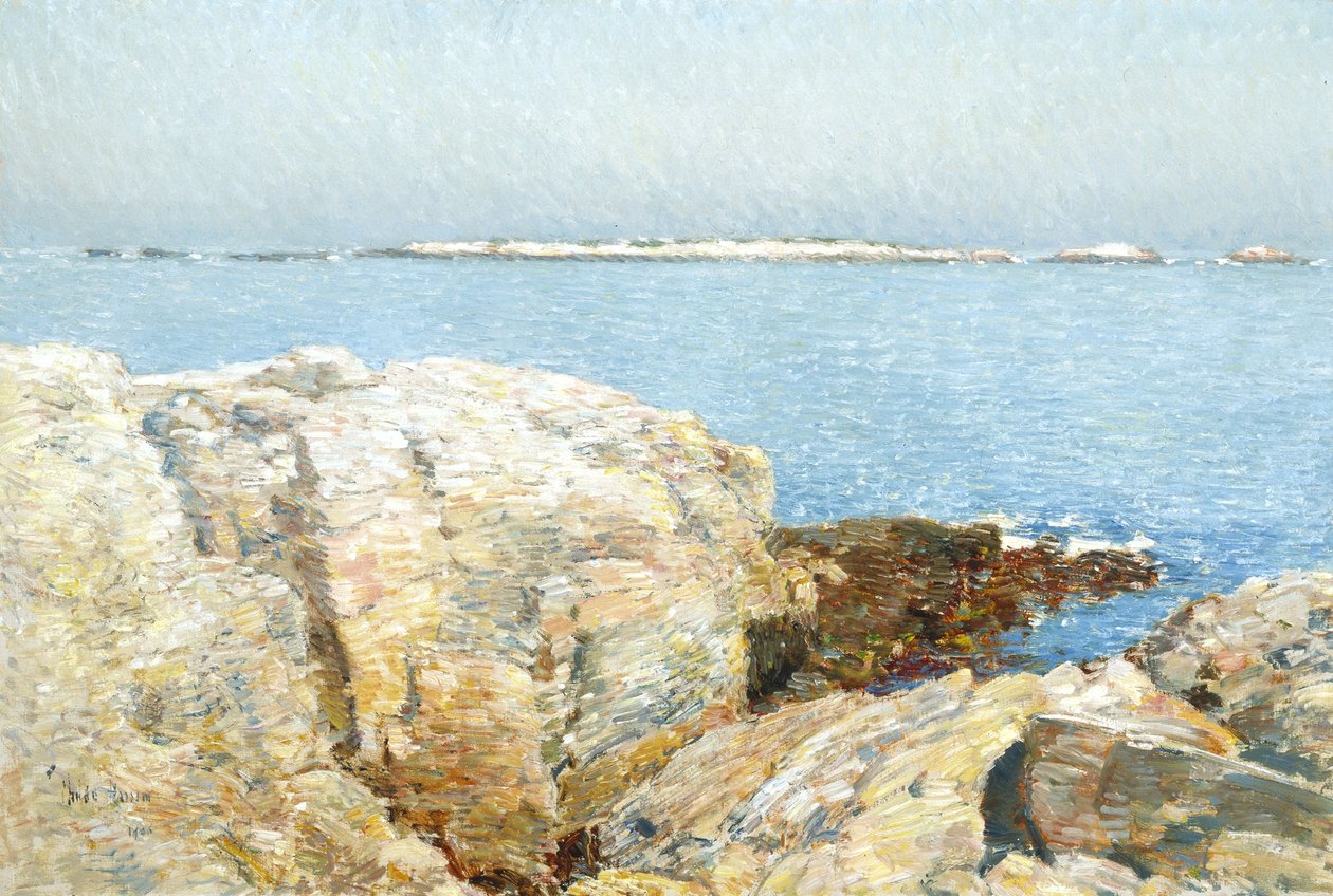 Eiland van de eenden door Childe Frederick Hassam