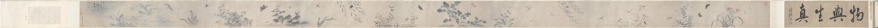 Insecten en bloemen door China, Qing dynasty