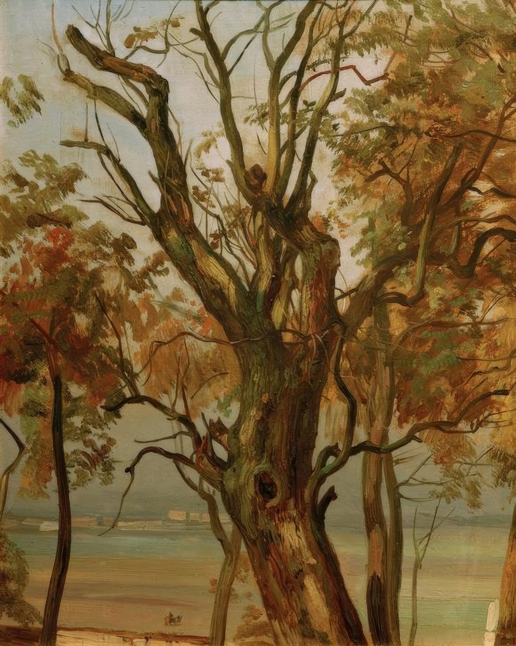 Boomstudie in de Herfst (Elbufer bij Dresden) door Christian Friedrich Gille