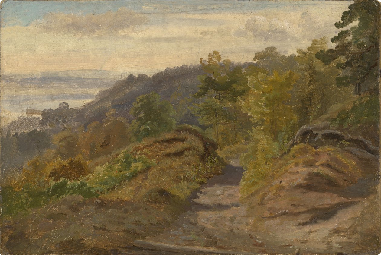 Bergbeek door Christian Friedrich Gille