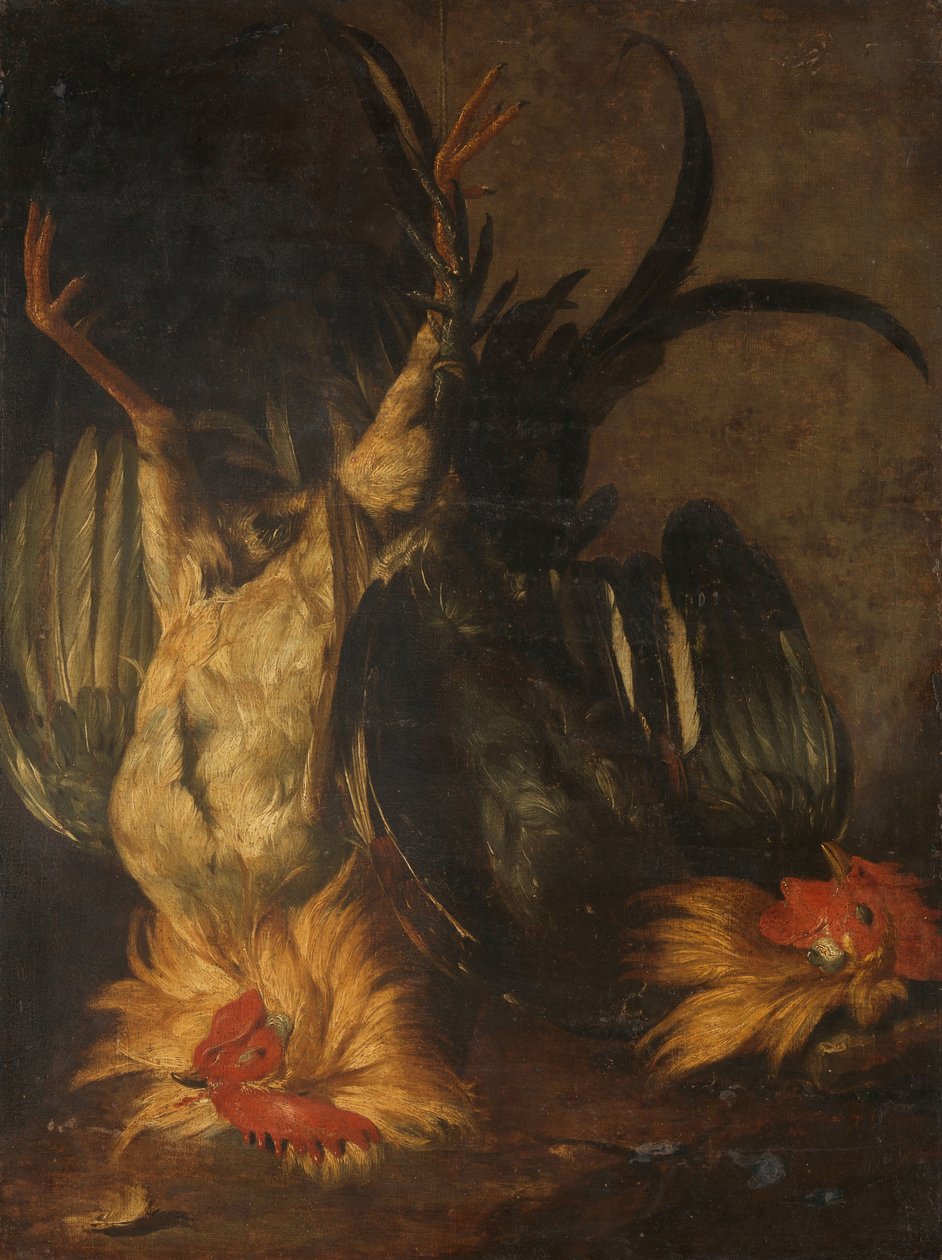 Dode hanen door Christoffel Puytlinck