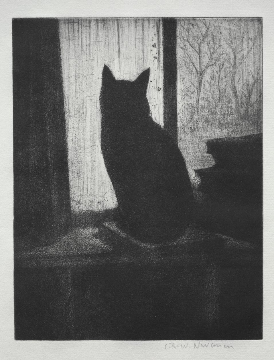 De kat door Christopher Richard Wynne Nevinson