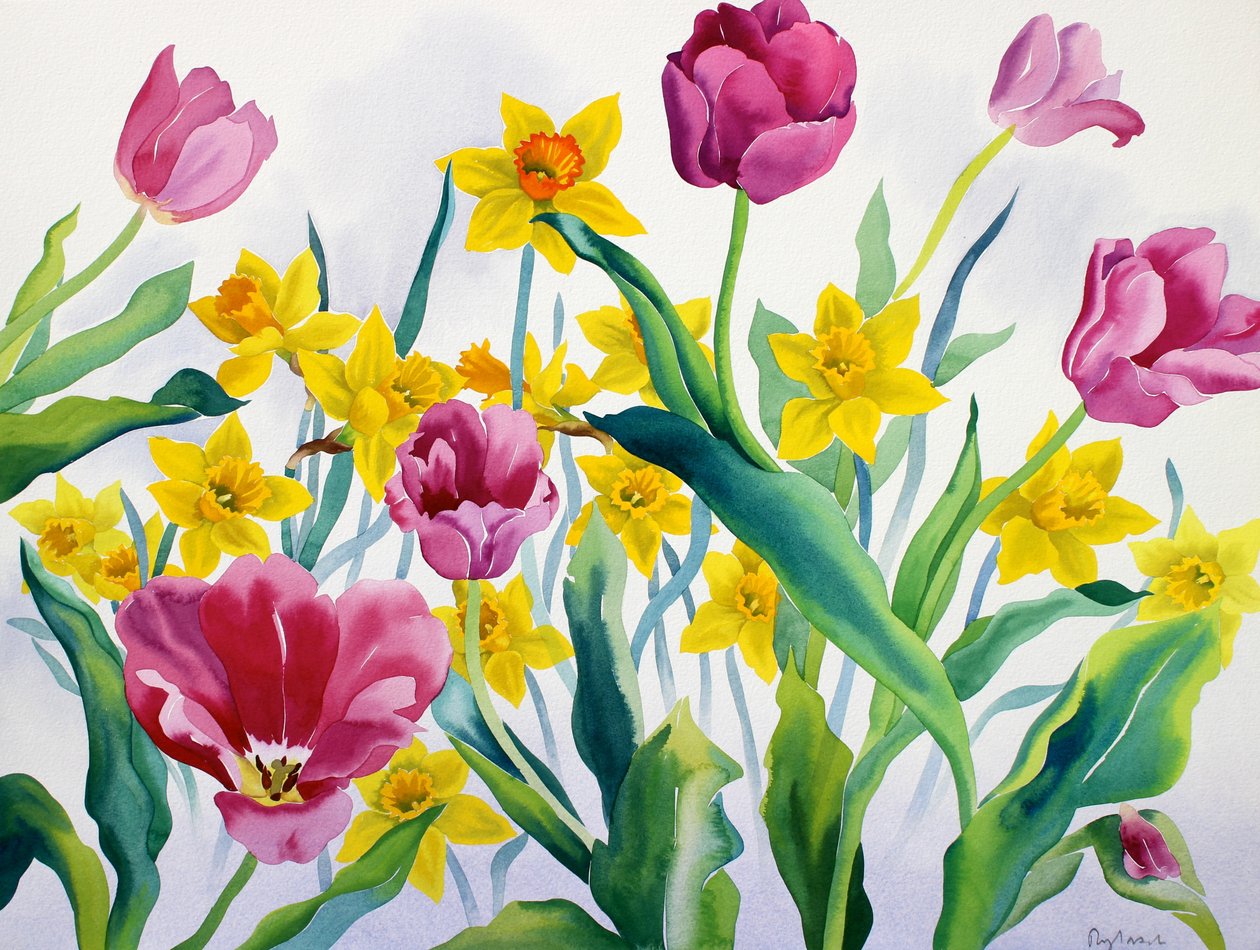 Narcissen en tulpen door Christopher Ryland