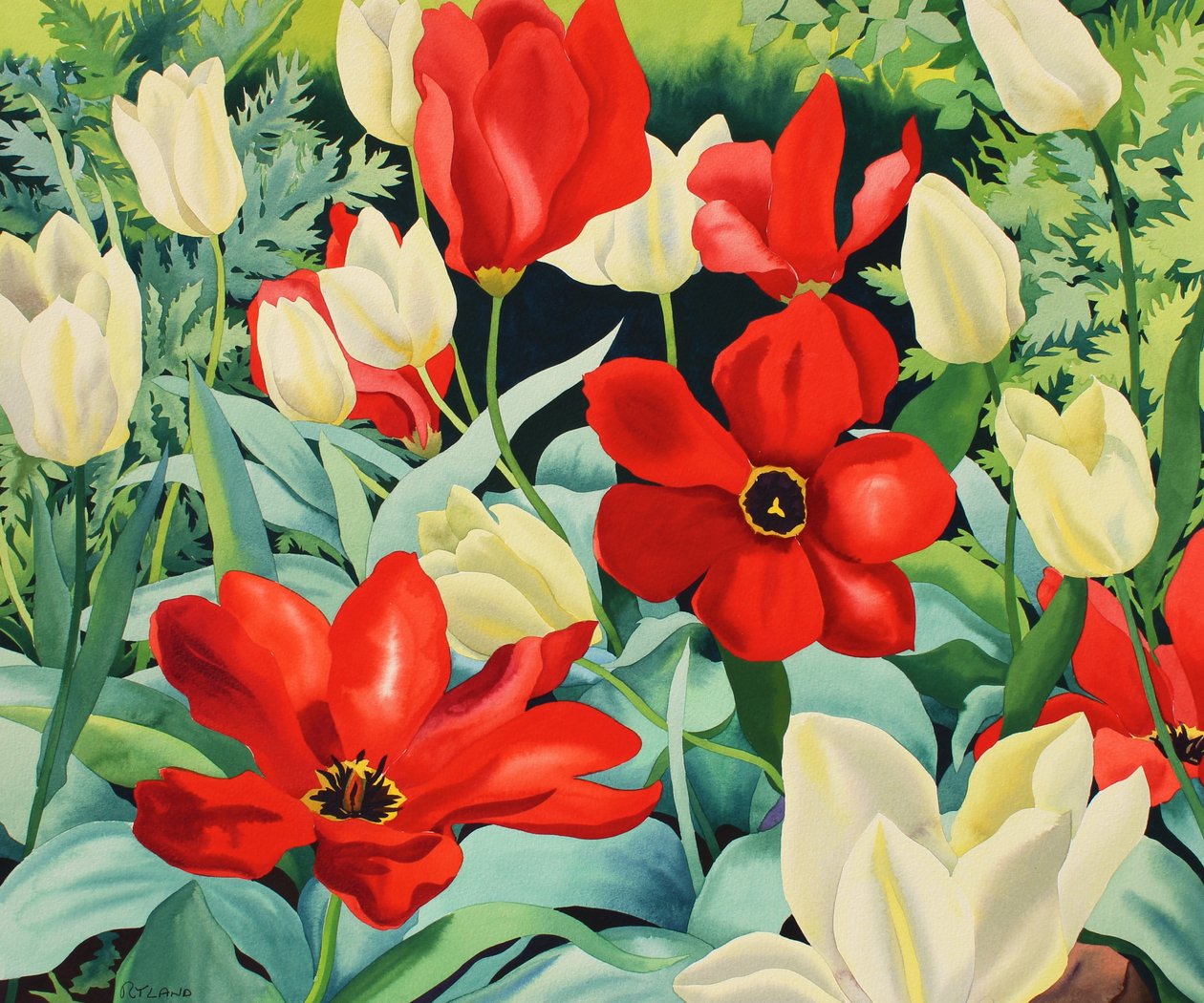 Vroege tulpen door Christopher Ryland