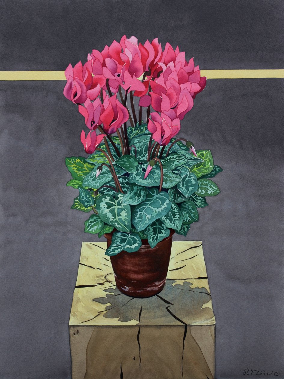 Stilleven Cyclamen door Christopher Ryland