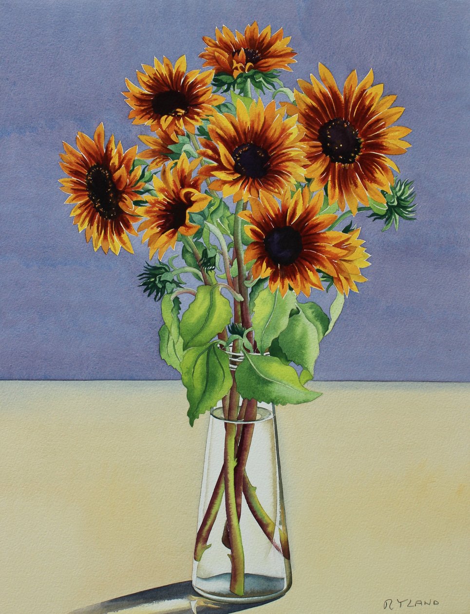 Zonnebloemen door Christopher Ryland