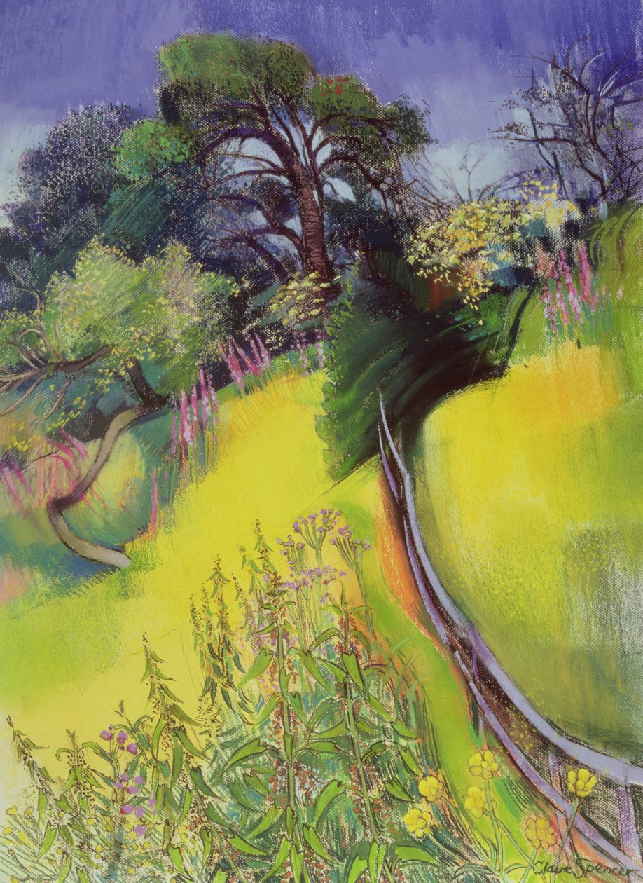 Midzomer door Claire Spencer