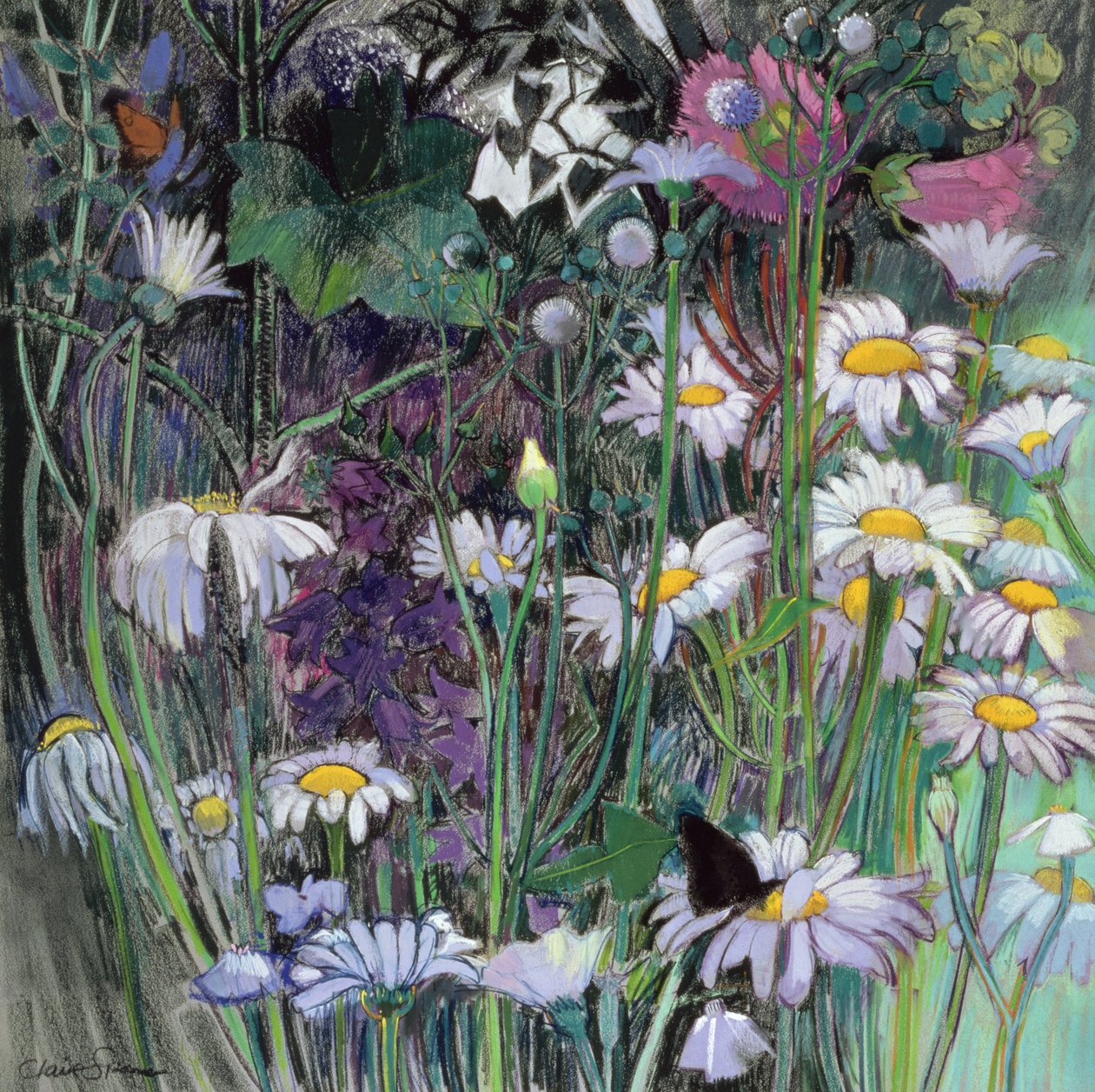 De Witte Tuin door Claire Spencer