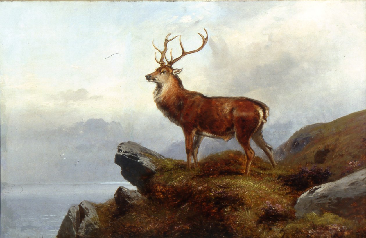 Op de Uitkijk door Clarence Roe