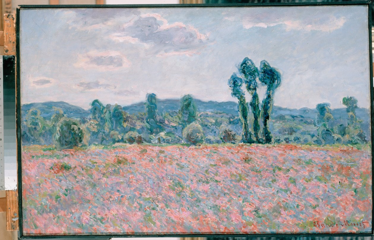 Klaprozenveld door Claude Monet