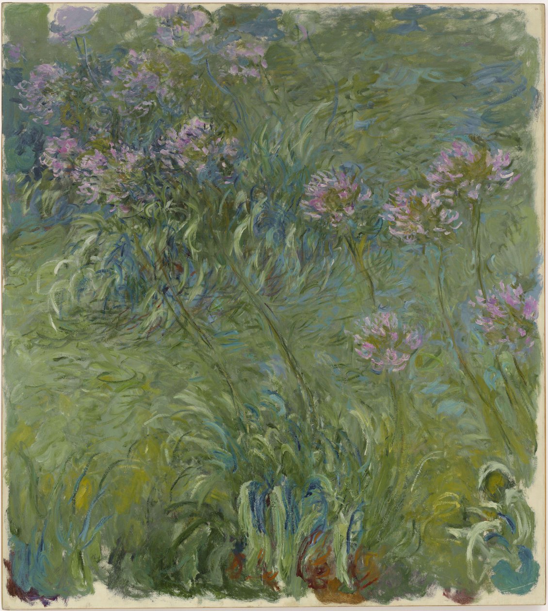 Agapanthus door Claude Monet