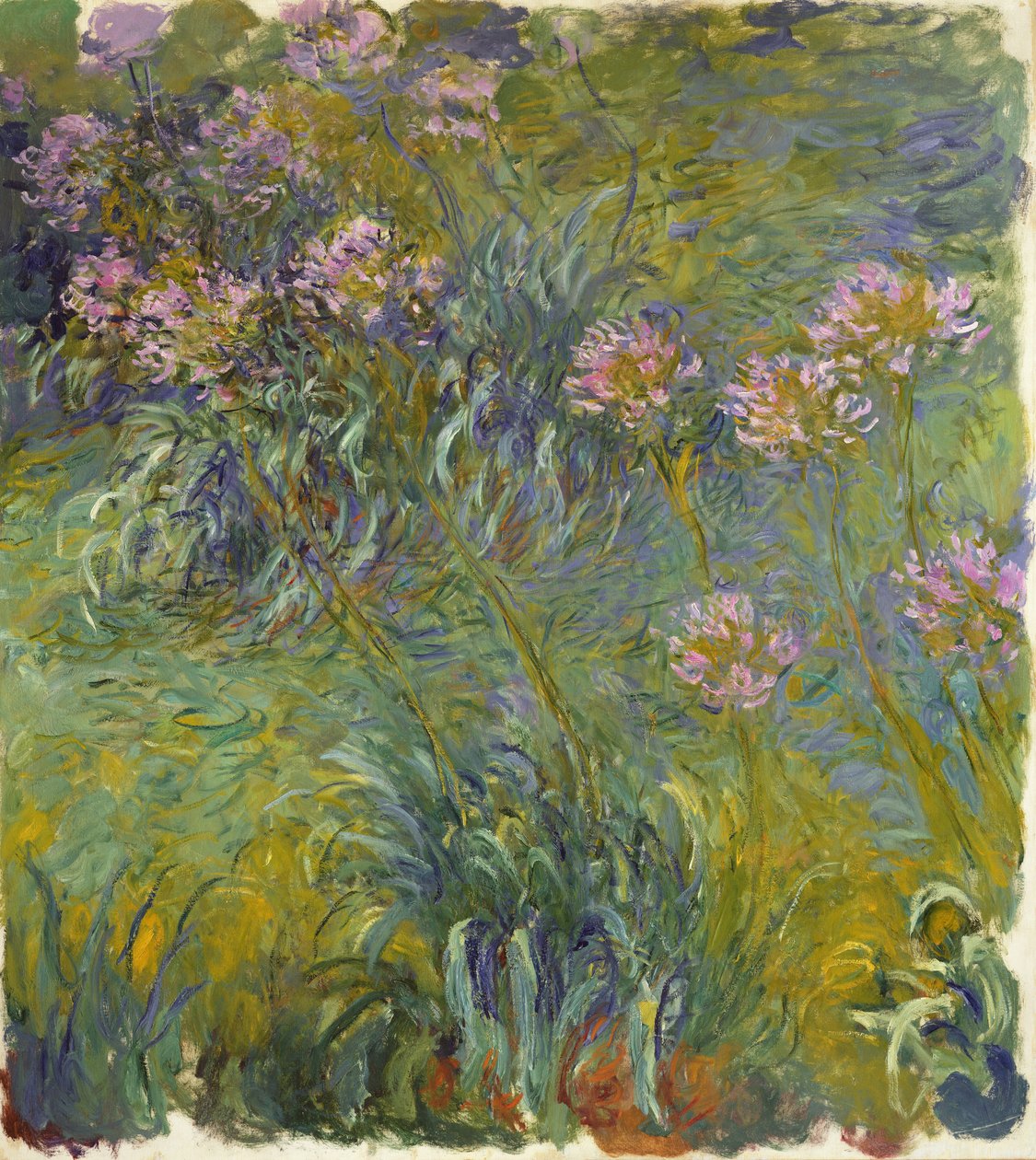 Agapanthus, 1914-26 door Claude Monet