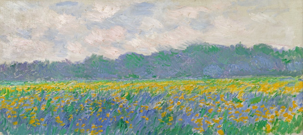 Veld van gele irissen in Giverny, 1887 door Claude Monet