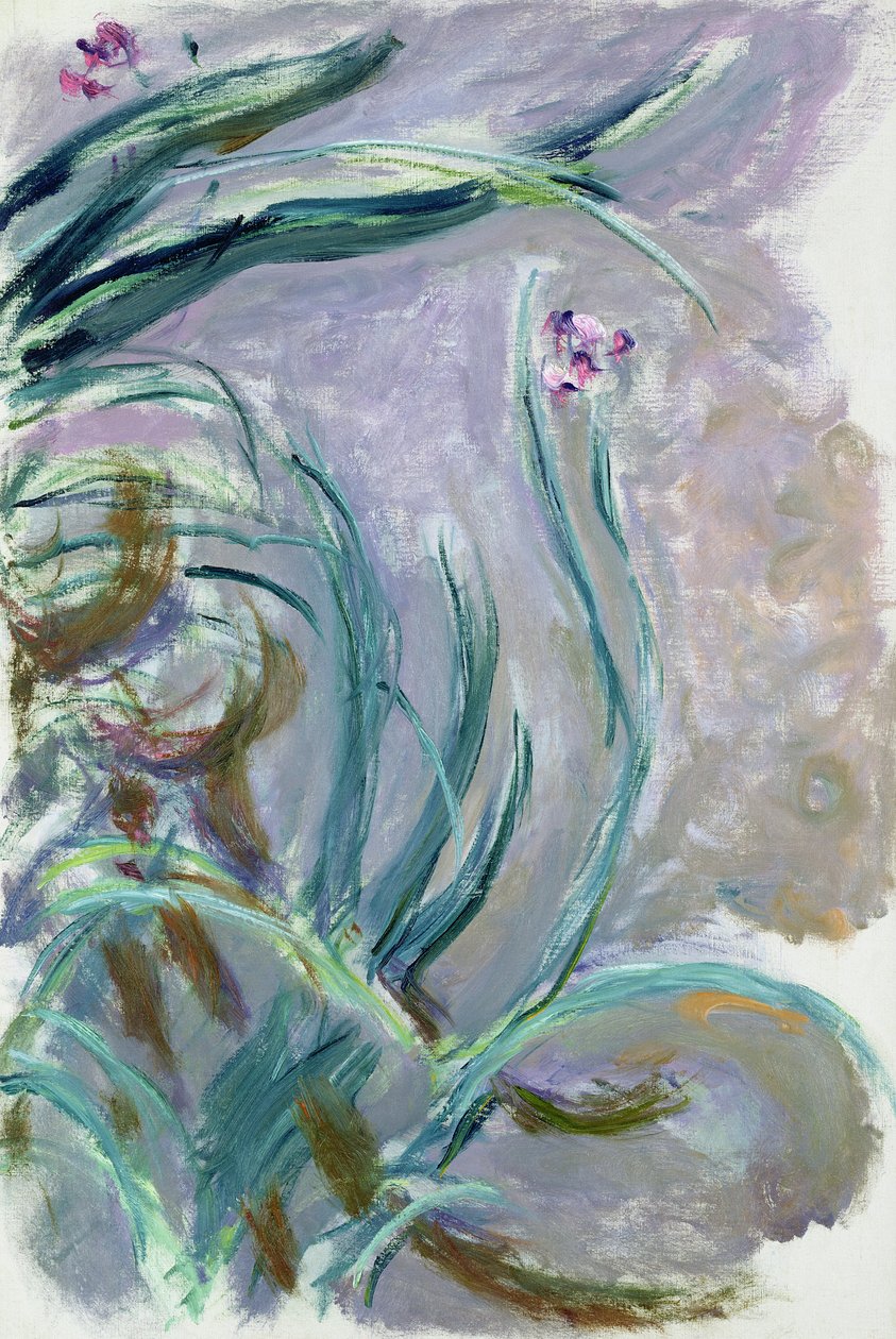 Iris, 1924-25 door Claude Monet