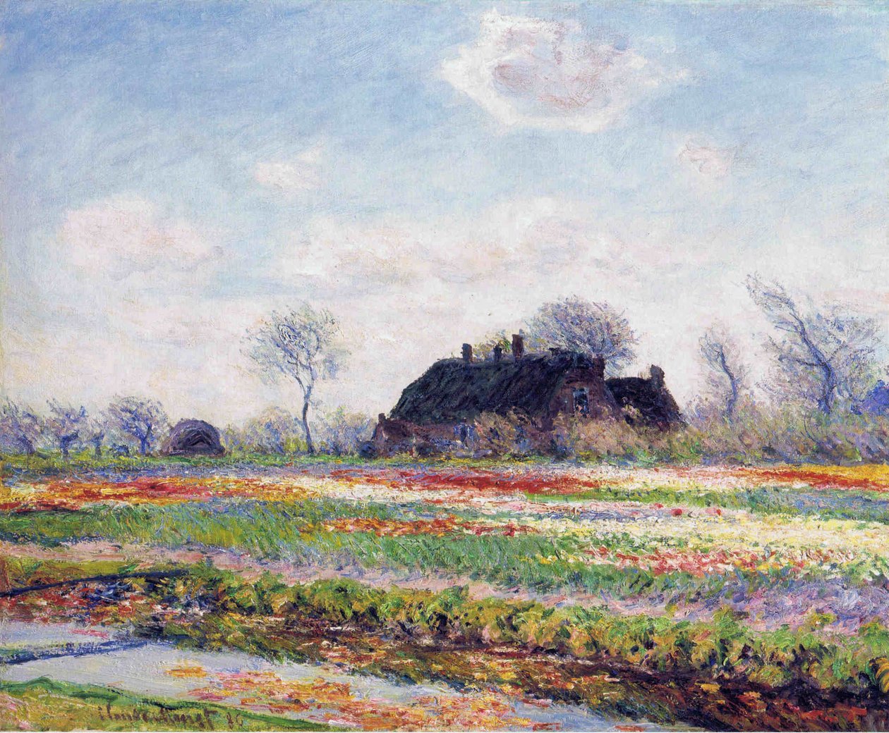 Tulpenvelden in Sassenheim door Claude Monet