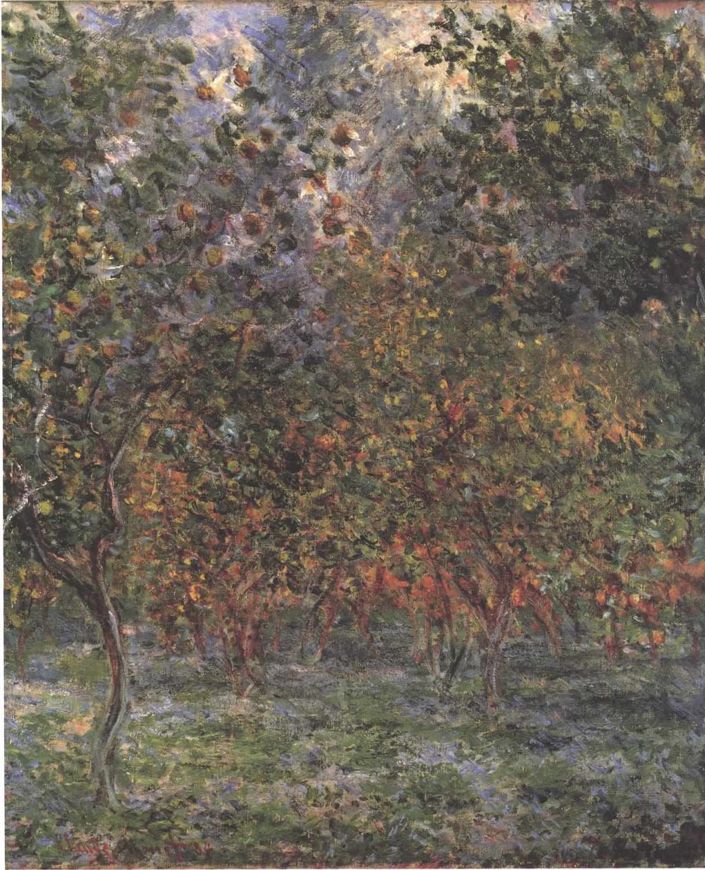 Onder Citroenbomen door Claude Monet