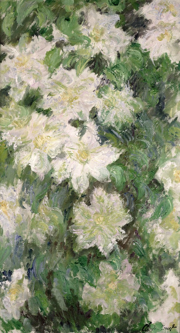 Witte Clematis, 1887 door Claude Monet