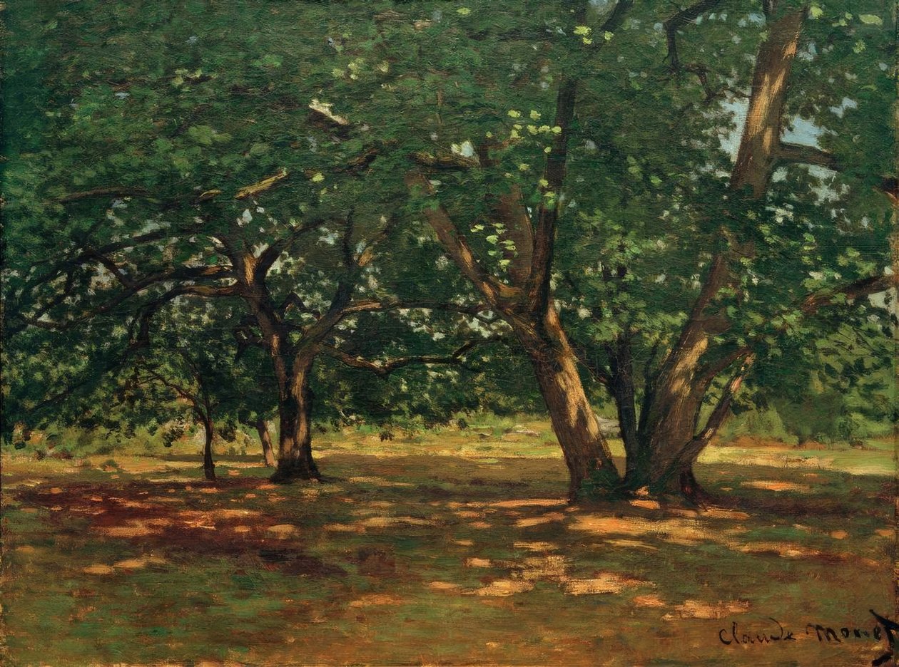 Bos van Fontainebleau door Claude Monet