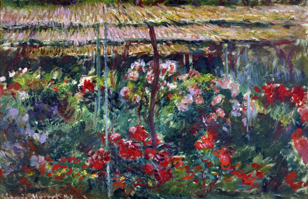 Tuin van pioenen door Claude Monet